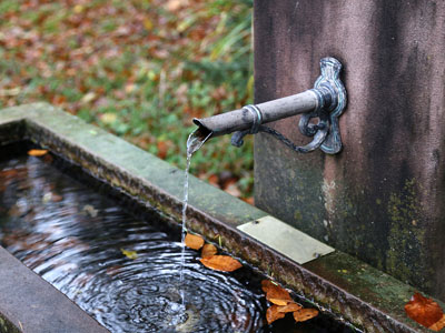 An outdoor well pouring water into a trough with leaves inside. 